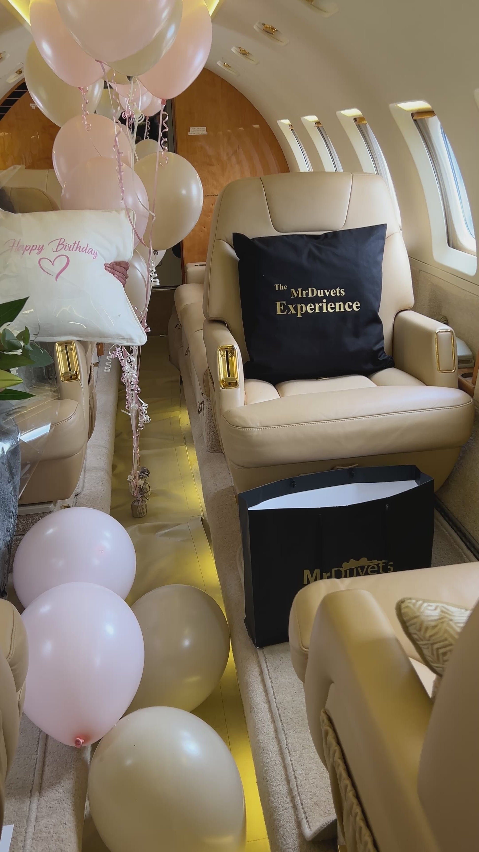 Private Jet Birthday Photo Shoot Experience