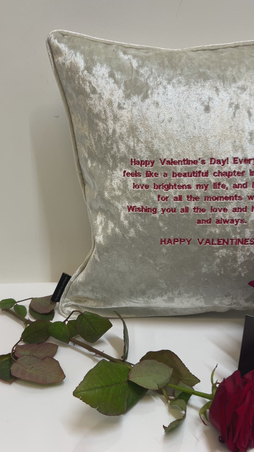 Happy Valentines Day Champagne Velvet Cushion with message